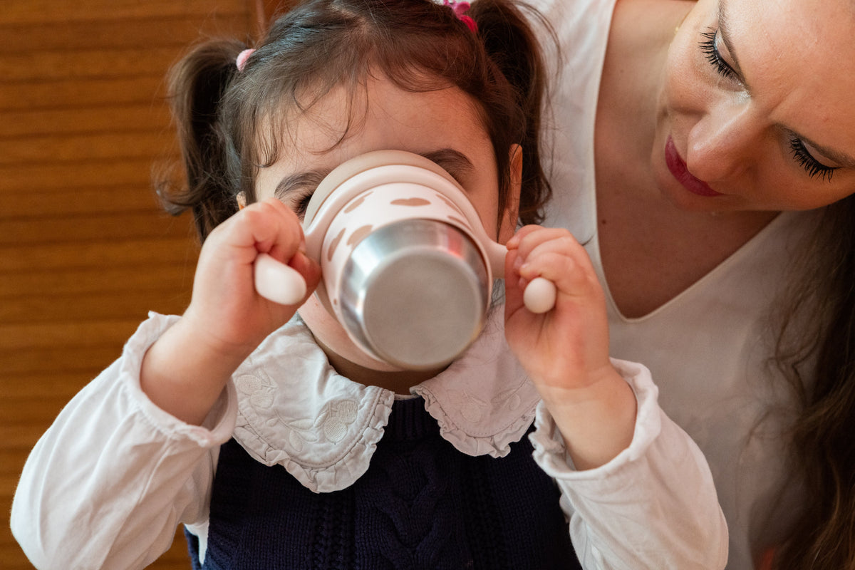 Stainless Steel Sippy Cup