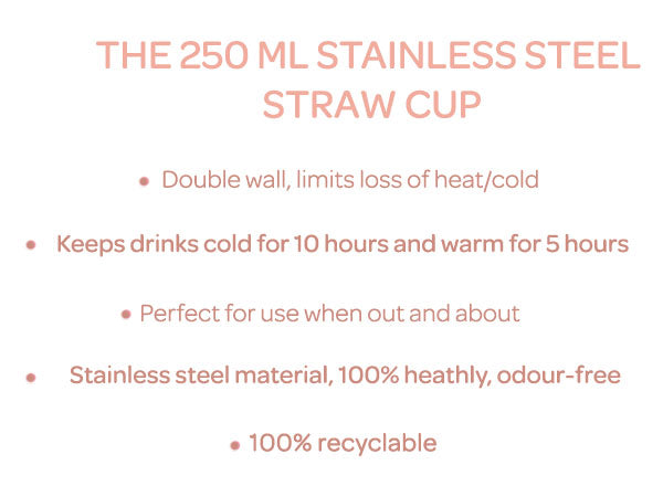 Stainless Steel Straw Cup 250ml