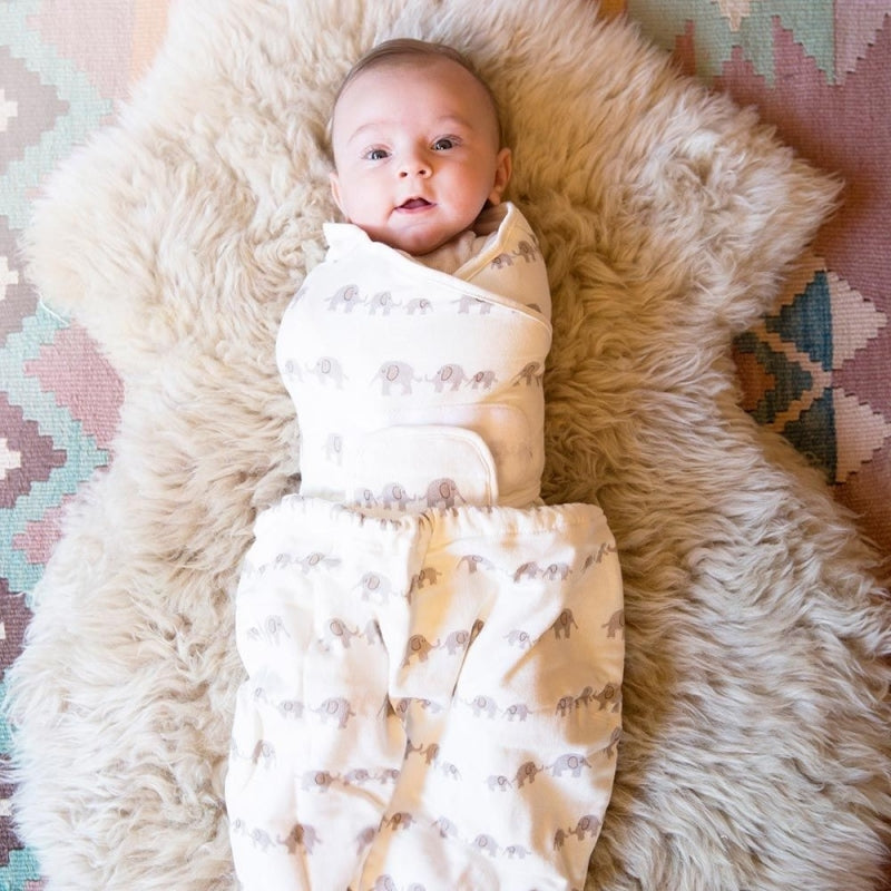 Ergobaby Single Swaddler - Elephant