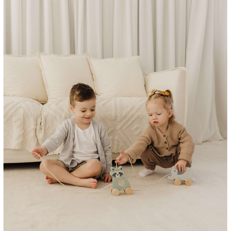 Bubble Wooden Raccoon Pull Along Toy