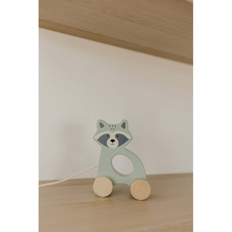 Bubble Wooden Raccoon Pull Along Toy