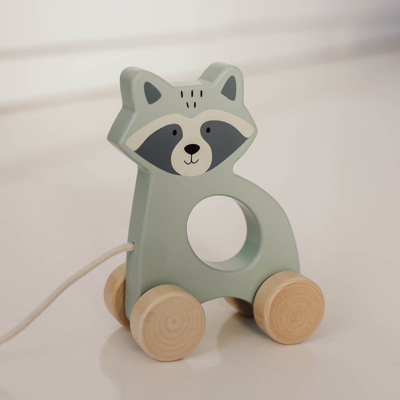 Bubble Wooden Raccoon Pull Along Toy