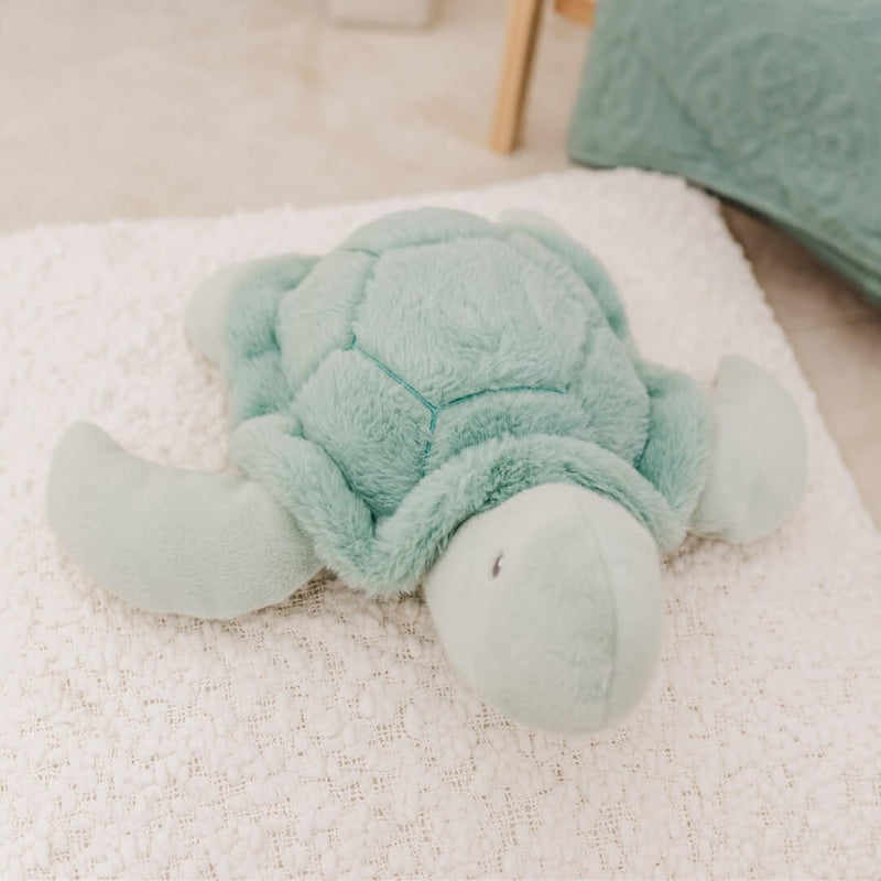 Toby The Turtle
