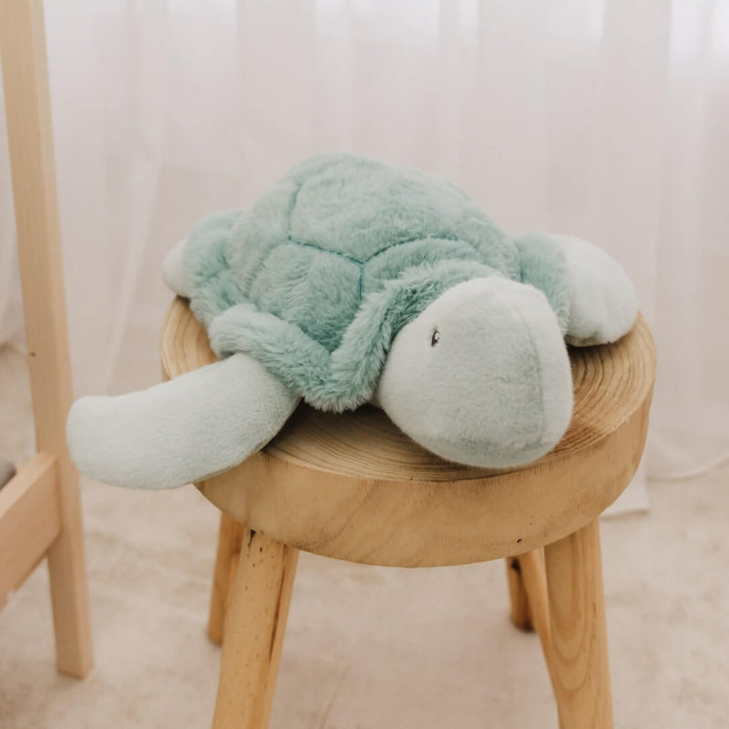 Toby The Turtle