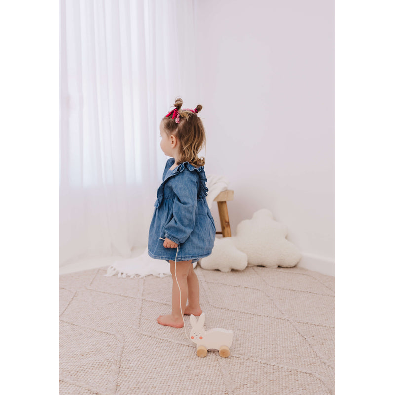 Bubble Wooden Pull Along - Rabbit