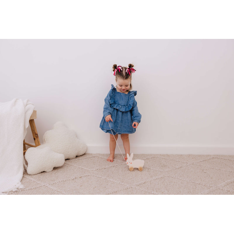 Bubble Wooden Pull Along - Rabbit