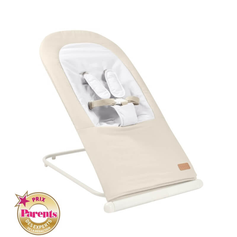 Easy Relax Foldable Bouncer