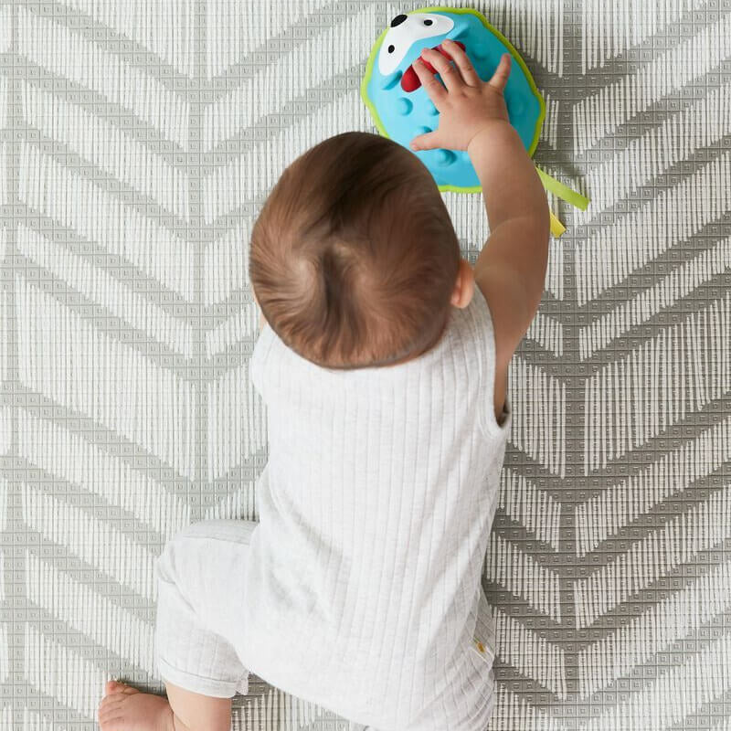 Skip Hop Explore & More Hello Hedgehog Crawl Toy