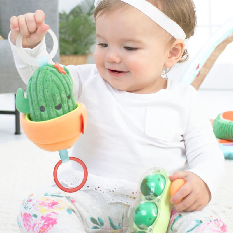 Skip Hop Farmstand Jitter Cactus