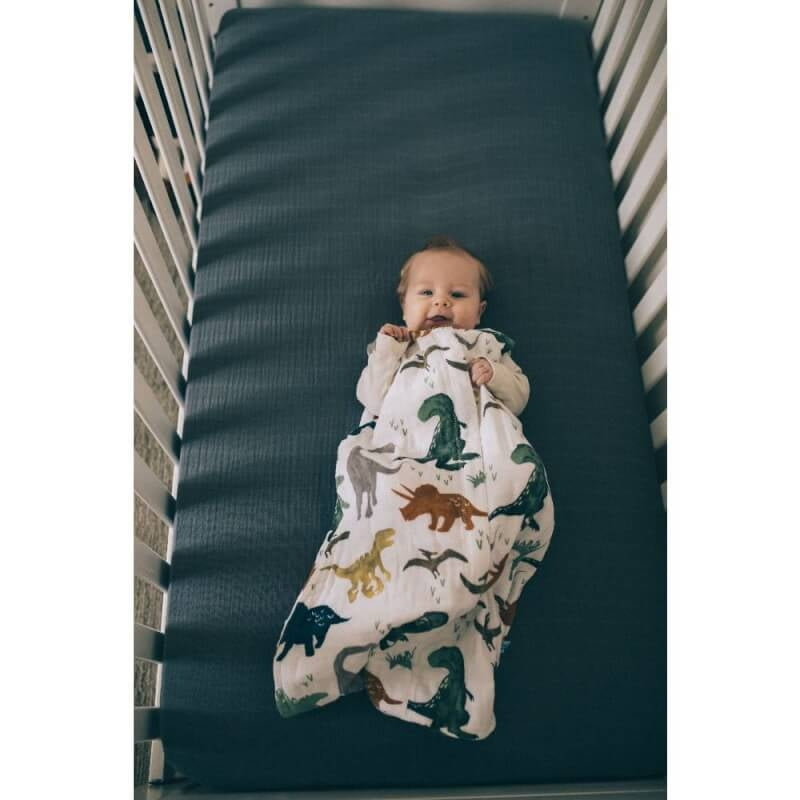Little Unicorn Dino Friends Muslin Sleeping Bag