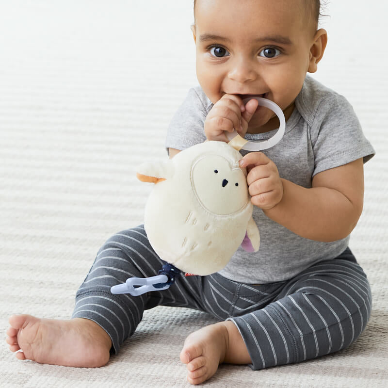 Skip Hop Celestial Dreams Jitter Owl