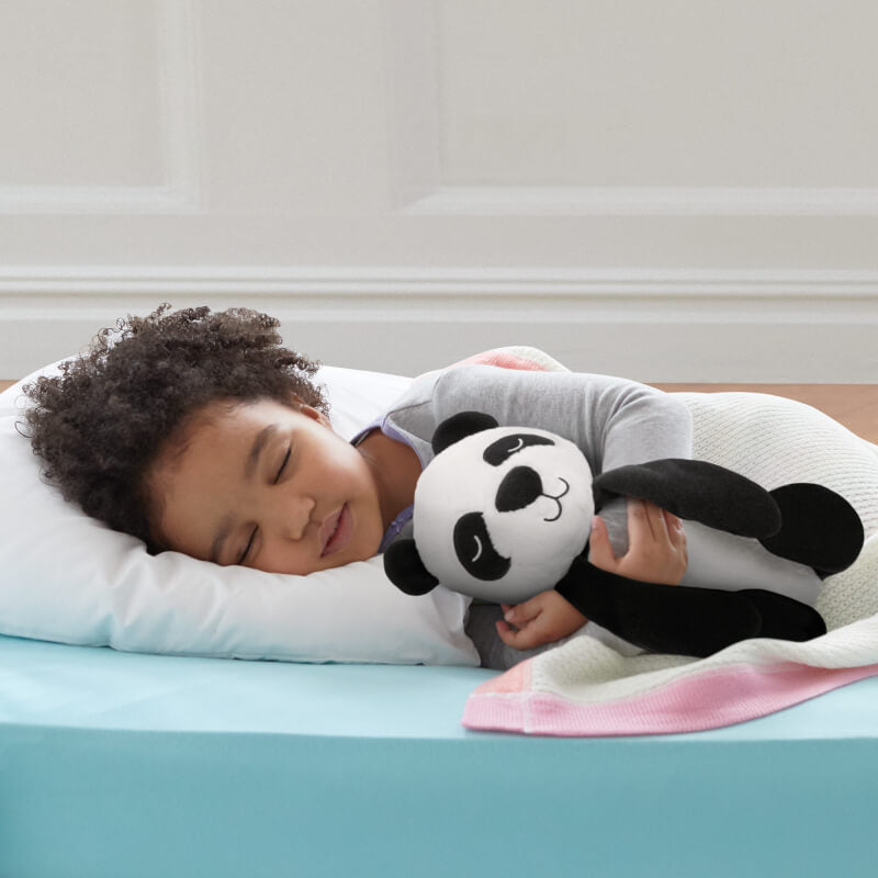 Cry Activated Soother - Panda
