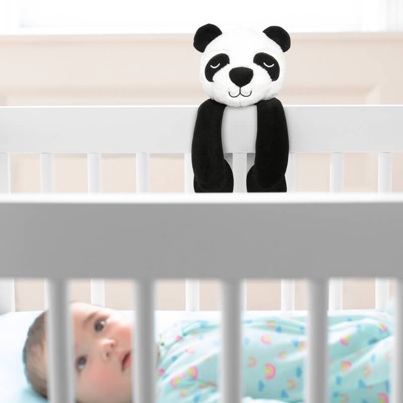 Cry Activated Soother - Panda