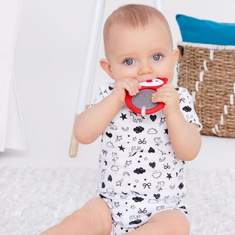 Skip Hop Explore & More Stay Cool Teether - Fox