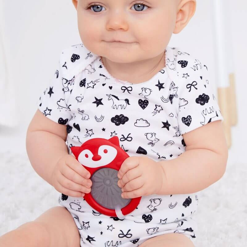 Skip Hop Explore & More Stay Cool Teether - Fox