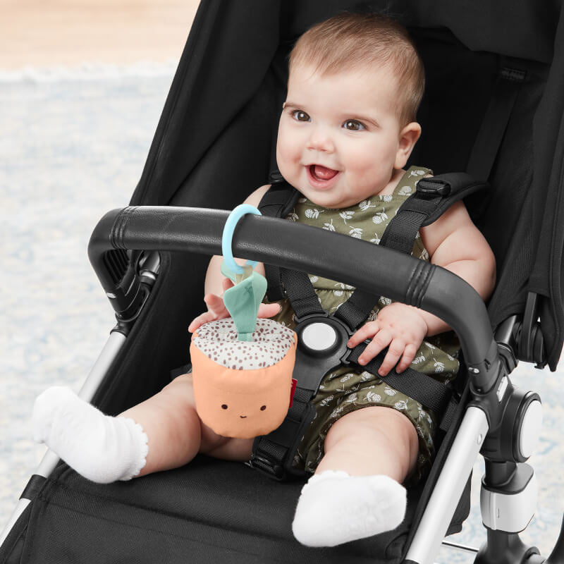 Garden Oasis Stroller Toy