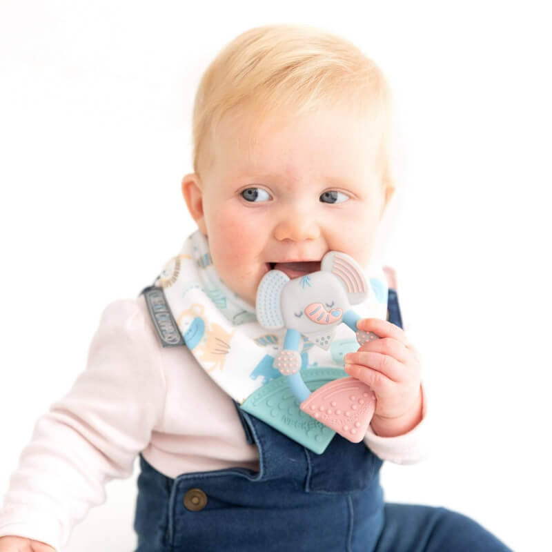 Cheeky Chompers Teething Toy - Darcy the Elephant
