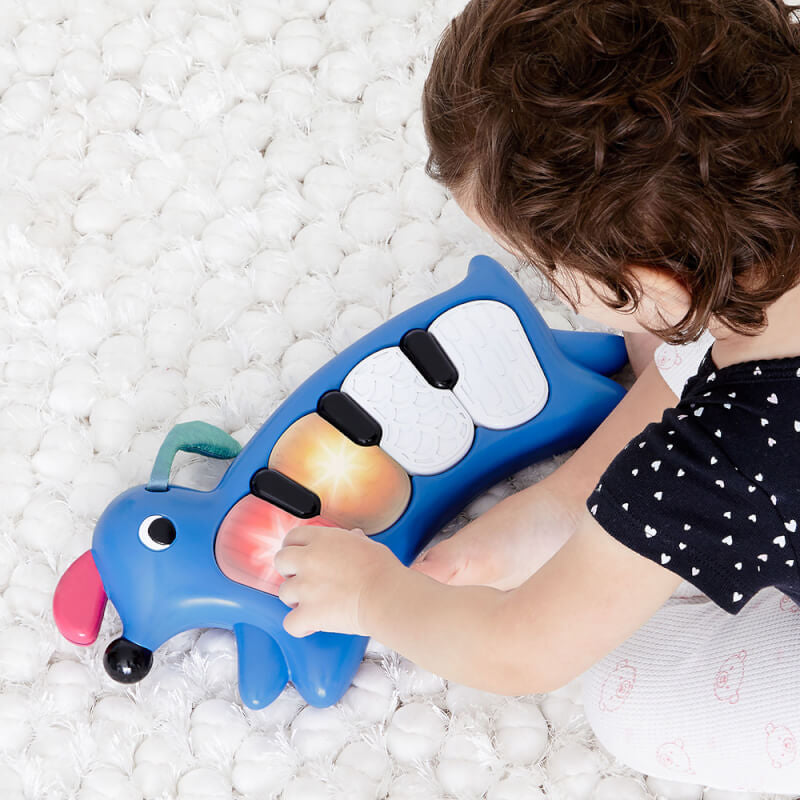 Skip Hop Vibrant Village Light-Up Dog Piano