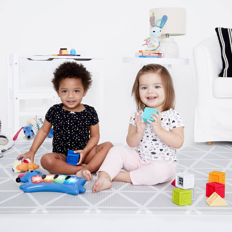 Skip Hop Vibrant Village Light-Up Dog Piano