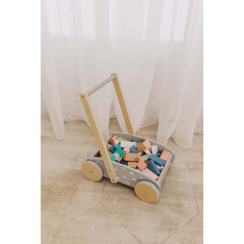 Bubble Wooden Baby Push Cart & Walker with 46 Building Blocks