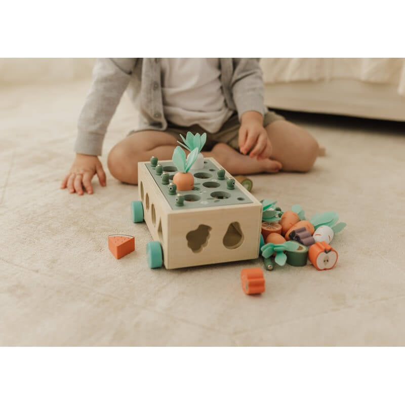 Bubble Wooden Vegetable Garden