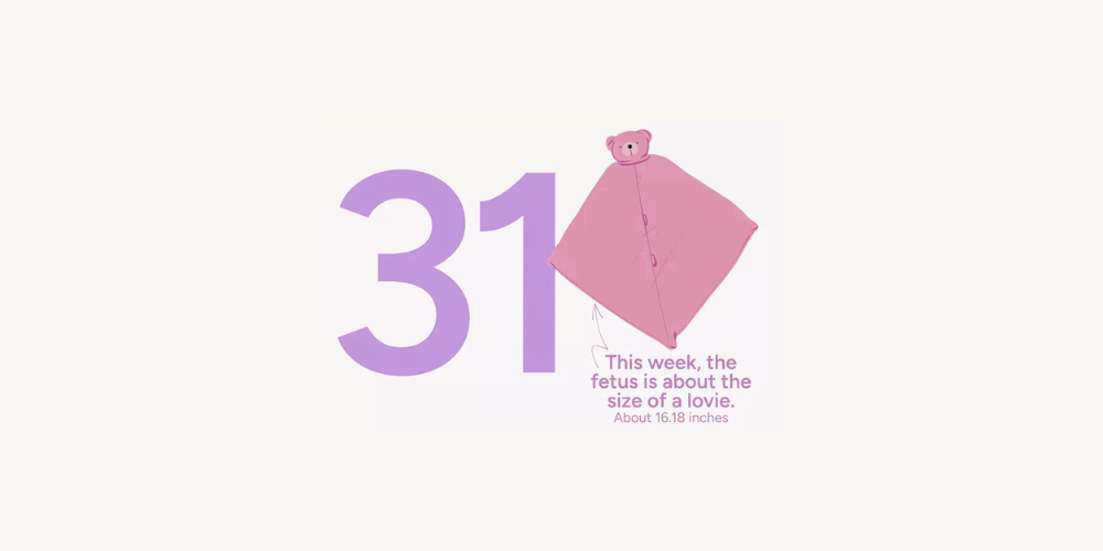 Pregnancy Week by Week: Week 31