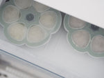 90ml Silicone Freezer Pods