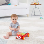 Explore & More Fox Xylophone