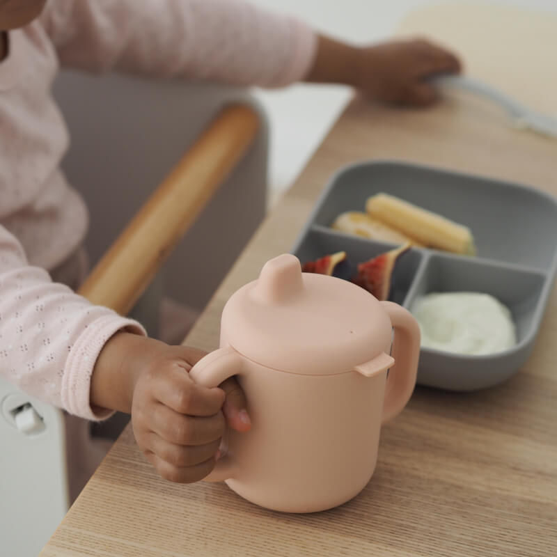 Beaba Silicone Learning Meal Set - Pink