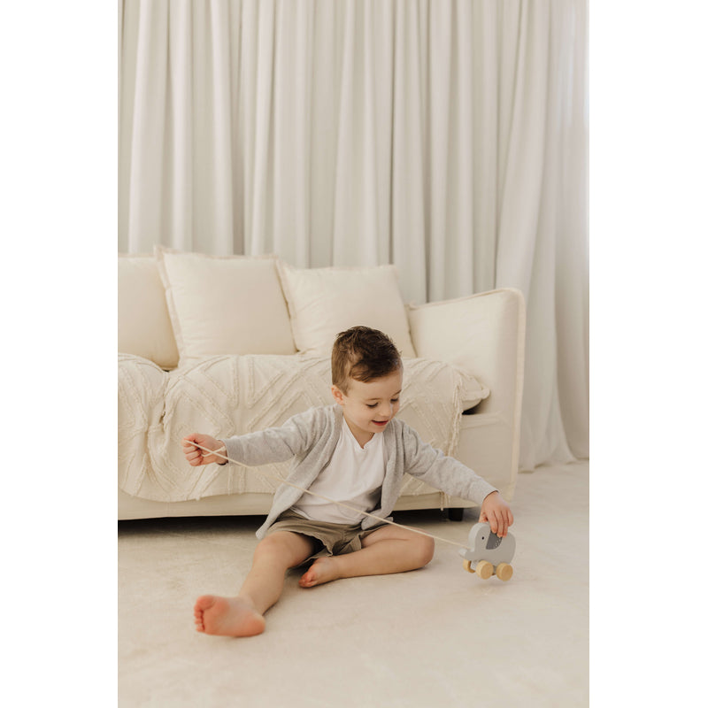 Wooden Elephant Pull Along Toy