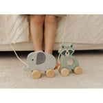 Wooden Raccoon Pull Along Toy