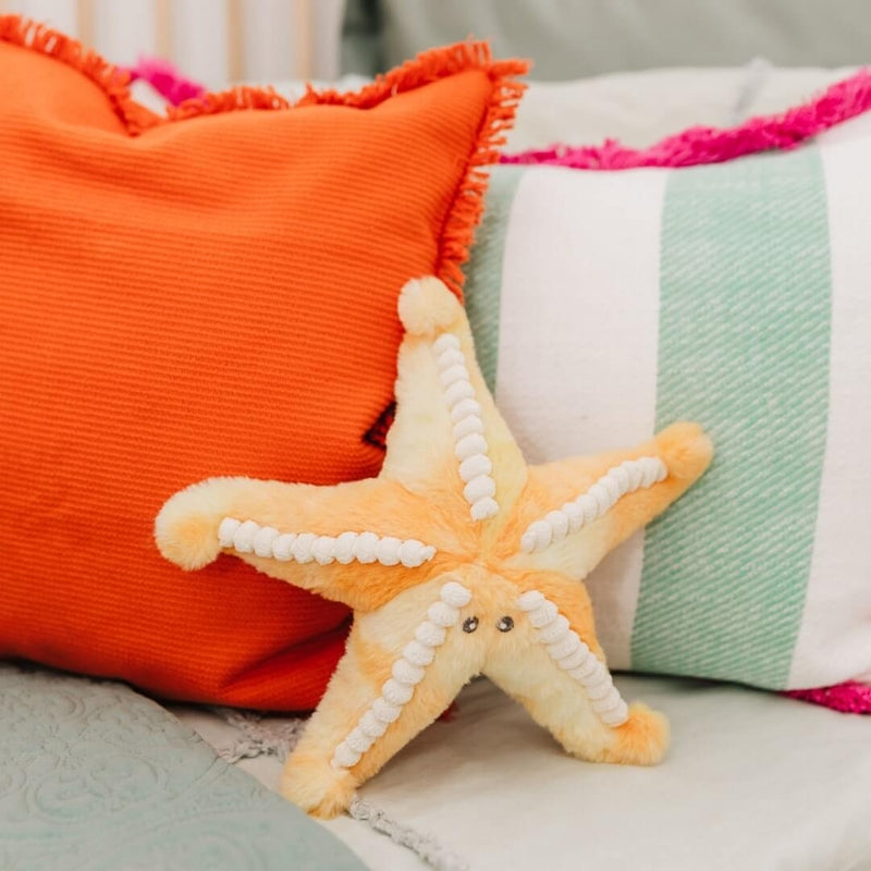 Sunny the Starfish