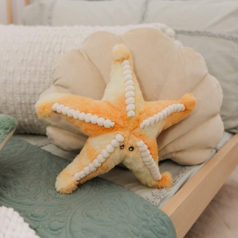 Sunny the Starfish