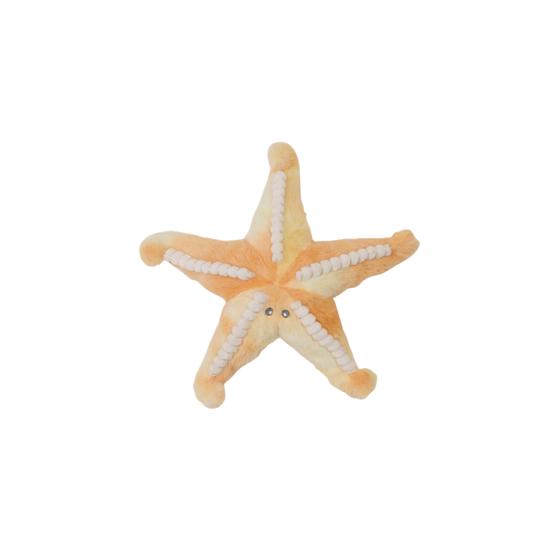Sunny the Starfish