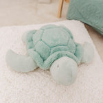 Toby The Turtle