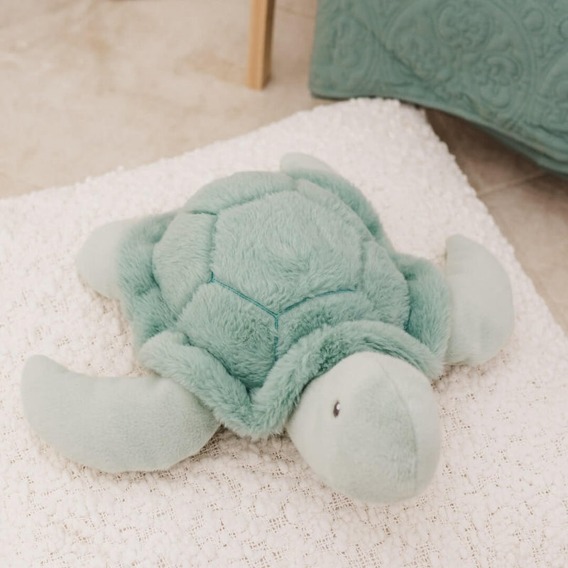 Toby The Turtle
