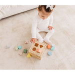 Wooden Shape Sorting Cube