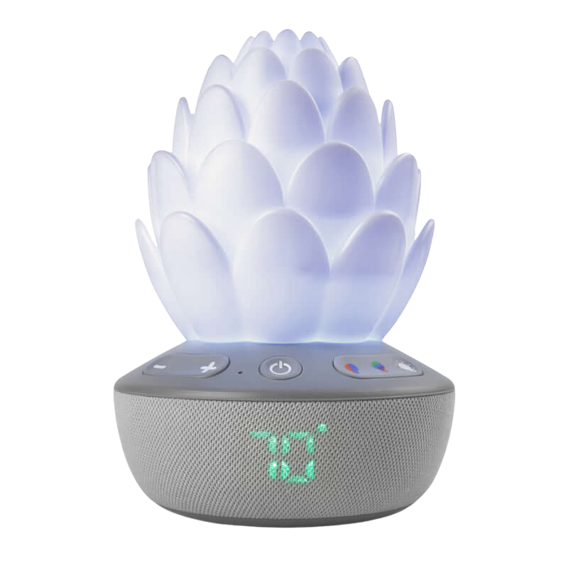 Skip Hop Cry-Activated Soother - Terra