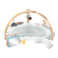 Skip Hop Montessori Discoverosity Deluxe Activity Gym