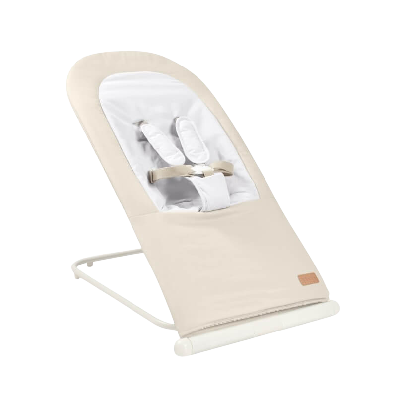 Easy Relax Foldable Bouncer