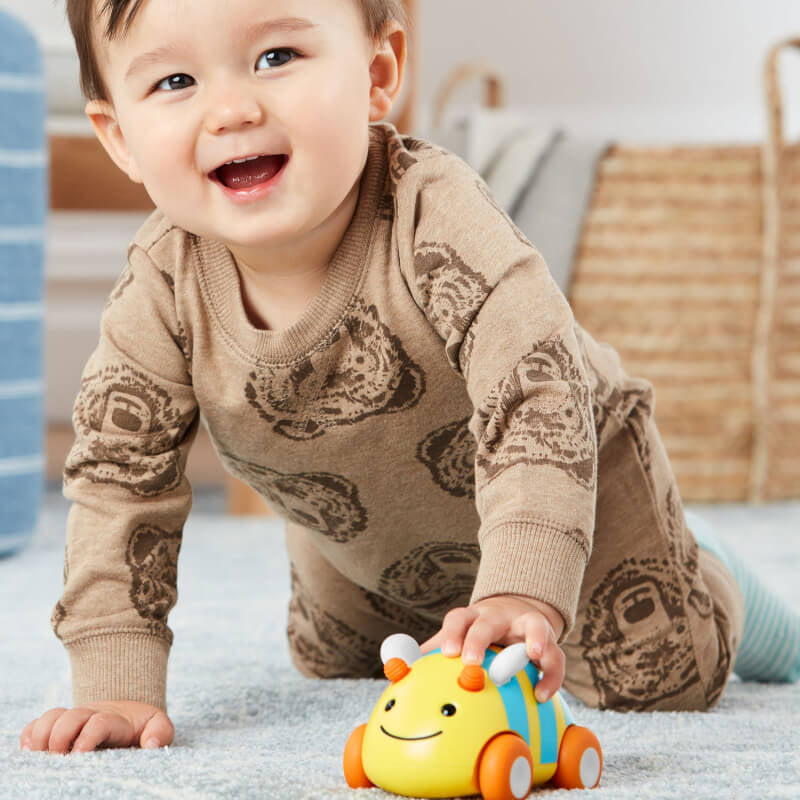 Skip Hop Explore & More Pull & Go Car - Bee