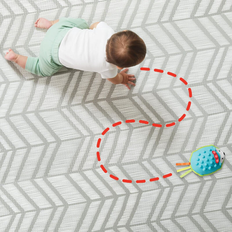Explore & More Hedgehog Crawl Toy