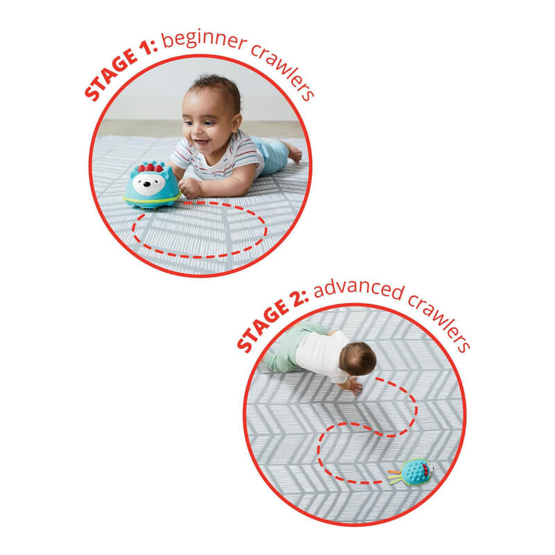 Explore & More Hedgehog Crawl Toy