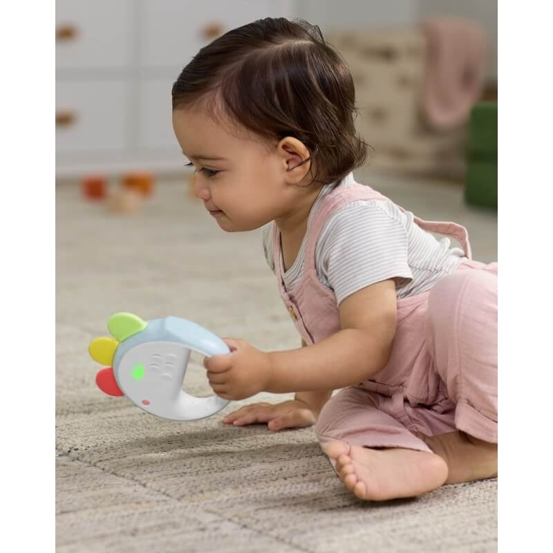 Feelin Clucky Musical Tambourine