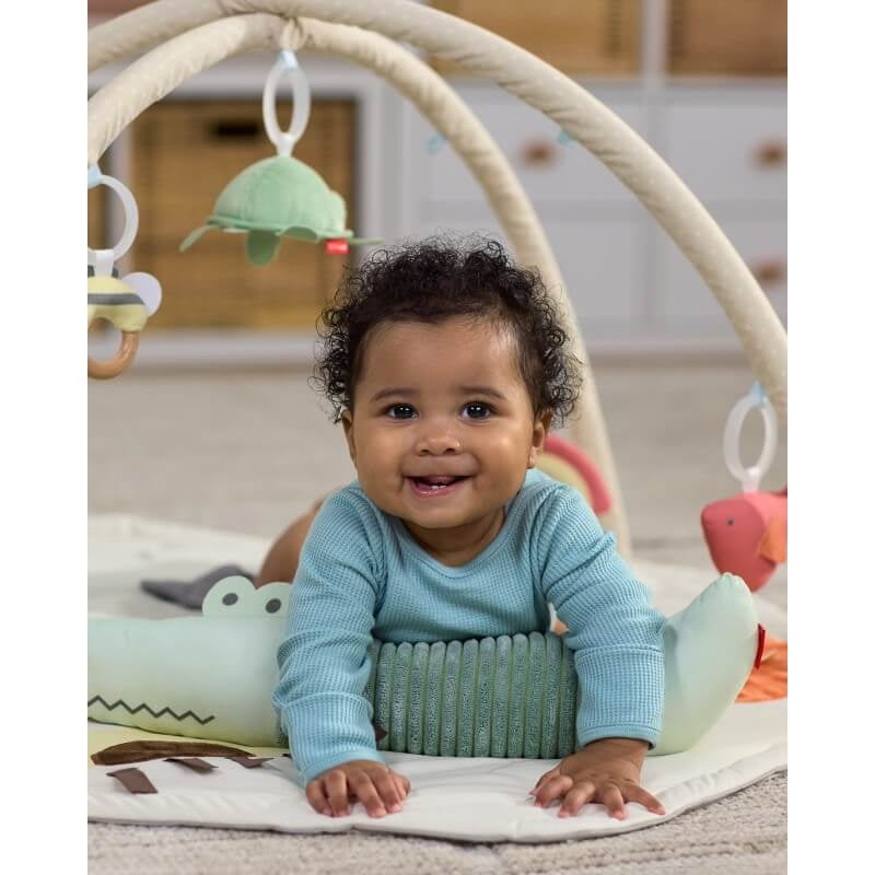 Geometric Wonders Activity Gym