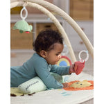 Geometric Wonders Activity Gym