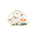 Geometric Wonders Activity Gym