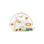 Geometric Wonders Activity Gym