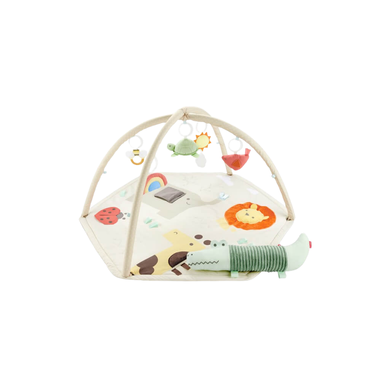 Skip Hop Geometric Wonders Activity Gym