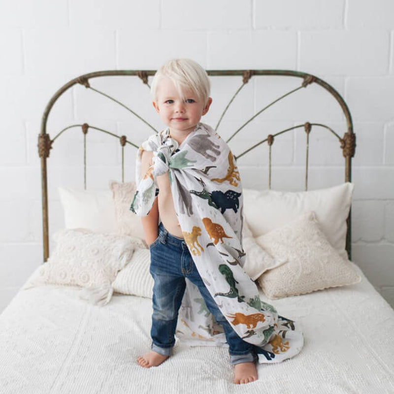 Little Unicorn Muslin Swaddle Set - Dino Friends 2